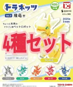 2026年最新】ドラネッツ 飛竜型の人気アイテム - メルカリ