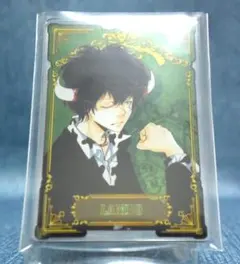 2026年最新】リボーン ステータスカードの人気アイテム - メルカリ