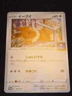 2026年最新】カード名：イーブイ ポケモンカードゲームの人気アイテム