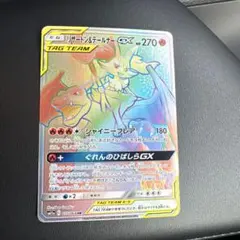 2026年最新】リザードン&テールナーgxの人気アイテム - メルカリ