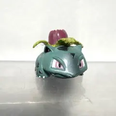 2026年最新】モンコレ フシギソウの人気アイテム - メルカリ