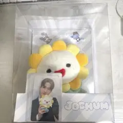 2026年最新】JOCHUM bira ぬいぐるみの人気アイテム - メルカリ