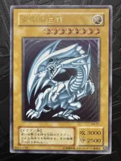 m41010409589_1.jpg?1772463545