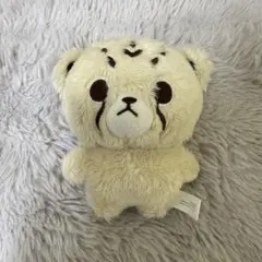 2026年最新】チーターリー nctの人気アイテム - メルカリ