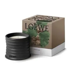 2026年最新】LOEWE キャンドルの人気アイテム - メルカリ