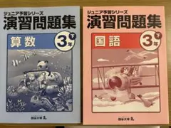 2026年最新】ジュニア予習シリーズ 3年の人気アイテム - メルカリ