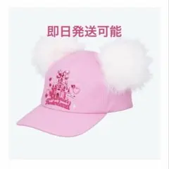 2026年最新】ディズニーパルパルーザ ファンキャップの人気アイテム