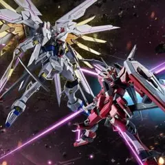 2026年最新】metal robot魂 インフィニットジャスティスガンダム弐式の