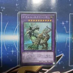 2026年最新】ナチュルエクストリオ シークレットの人気アイテム - メルカリ