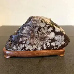 2026年最新】菊花石 岐阜の人気アイテム - メルカリ