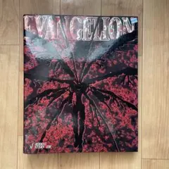 2026年最新】エヴァンゲリオン カードダスマスターズ ワイドの人気