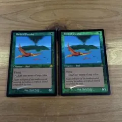 2026年最新】極楽鳥 foilの人気アイテム - メルカリ