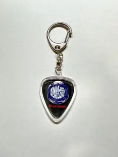 2026年最新】b z ピックの人気アイテム - メルカリ