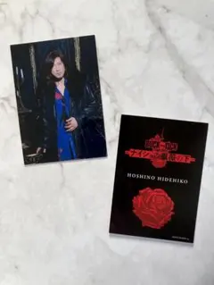 2026年最新】ナイショナイショの薔薇の下の人気アイテム - メルカリ