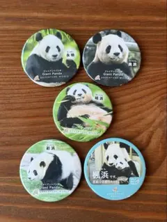 2026年最新】アドベンチャーワールド パンダ 缶バッジの人気アイテム