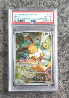 2026年最新】イーブイ ar psa10の人気アイテム - メルカリ