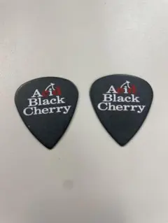 2026年最新】Acid Black Cherry ピックの人気アイテム - メルカリ