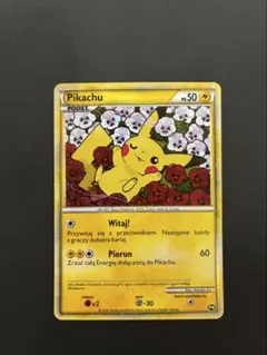 2026年最新】ポーランド ピカチュウの人気アイテム - メルカリ