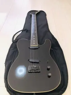 2026年最新】TEJ-75 fernandesの人気アイテム - メルカリ