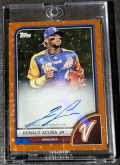 2026年最新】アクーニャjrの人気アイテム - メルカリ