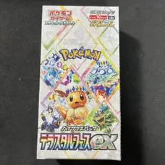 2026年最新】テラスタルフェス 1boxの人気アイテム - メルカリ