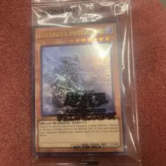 2026年最新】日本選手権 遊戯王の人気アイテム - メルカリ