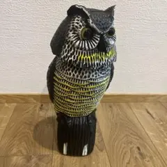 2026年最新】フクロウ 剥製の人気アイテム - メルカリ