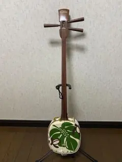 2026年最新】asoviva 三線の人気アイテム - メルカリ