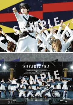 2025年最新】グループ名：欅坂46 ポスターの人気アイテム - メルカリ