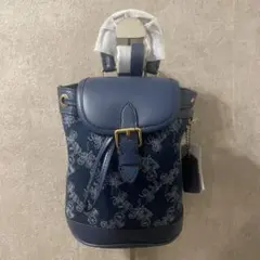 2026年最新】coach ミニリュックの人気アイテム - メルカリ