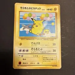 そらをとぶピカチュウ_ANA 「ジェットでゲットだ！Wチャンス