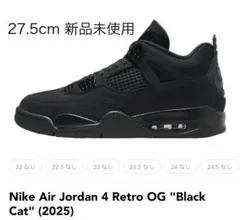 2026年最新】aj4 black catの人気アイテム - メルカリ