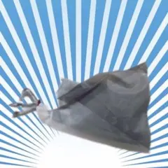 JAL 2026初日の出フライト 記念品セット フライトタグ - メルカリ