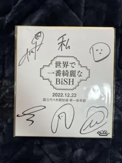 2026年最新】bish サインの人気アイテム - メルカリ