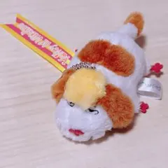 2026年最新】 ハウルの動く城 ヒン ぬいぐるみの人気アイテム - メルカリ