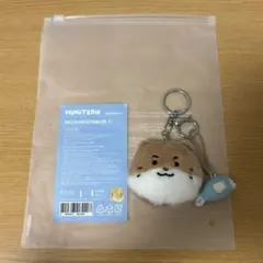 2026年最新】Miniteen seventeen ディノの人気アイテム - メルカリ