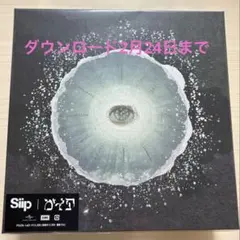 2026年最新】siip 完全生産限定の人気アイテム - メルカリ