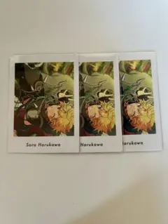 2026年最新】春川宙 ぱしゃっつの人気アイテム - メルカリ