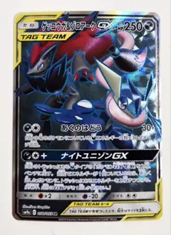 2026年最新】ゲッコウガ ゾロアーク srの人気アイテム - メルカリ