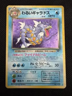 2026年最新】わるいギャラドス 25の人気アイテム - メルカリ