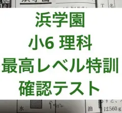 2026年最新】浜学園 小6 最高レベル特訓 テキストの人気アイテム