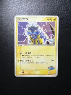 ライコウ ポケパークプレミアムファイル 005/009 - メルカリ