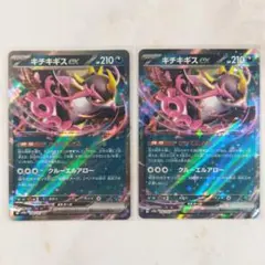 2026年最新】キチキギスex 2枚の人気アイテム - メルカリ