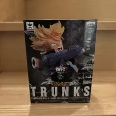 2026年最新】BWFCトランクスの人気アイテム - メルカリ