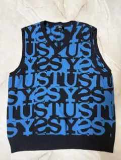 2026年最新】stussy ニットベストの人気アイテム - メルカリ