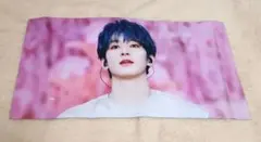 2026年最新】seventeen ウォヌ スローガンの人気アイテム - メルカリ