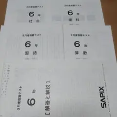 2026年最新】サピックステストの人気アイテム - メルカリ
