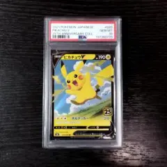 2026年最新】ピカチュウ ゼクロム ur psa10の人気アイテム - メルカリ