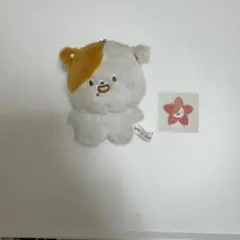 2026年最新】チソン マスターの人気アイテム - メルカリ