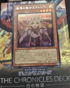 2026年最新】教導の聖女エクレシア シークレットの人気アイテム - メルカリ